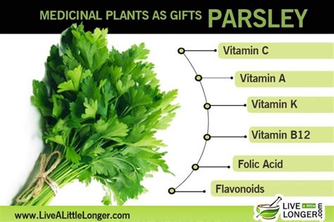 Surprising Health Benefits Of Parsley