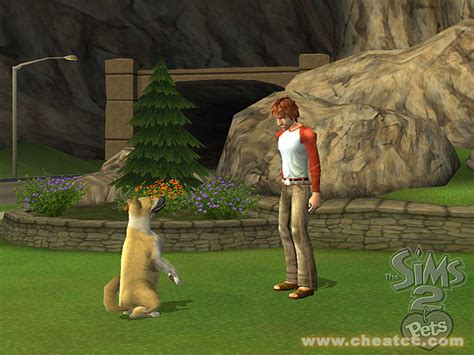 The Sims 2 Pets Review Preview For The Gamecube Gc