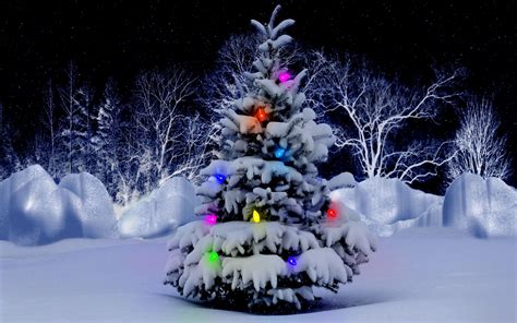 Christmas Tree With Snow On It Wallpapers Wallpaper Cave