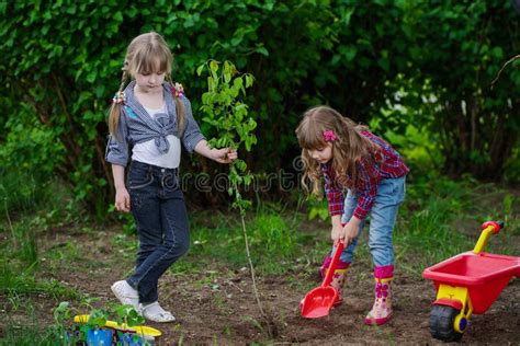 Happy Girls Planting Tree Stock Photo Image Of Garden 72103208