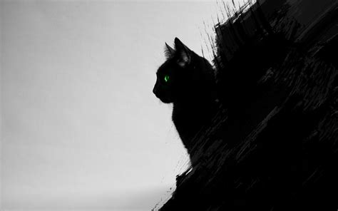 Cat Black Cats Animals Green Eyes Artwork Digital Art Black Gray