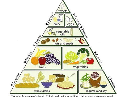 Super Food Pyramid Taught Swallowed