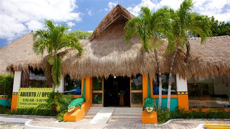 Crococun Zoo Playa Del Carmen Quintana Roo Attraction Au