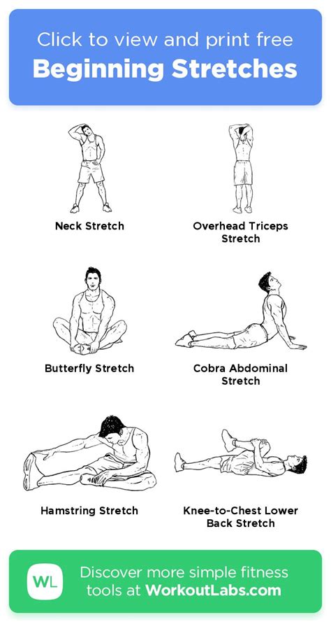 Free Workout Beginning Stretches · Workoutlabs Fit Post Workout