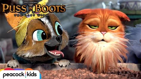 Puss Makes A New Puppy Friend Puss In Boots The Last Wish Youtube