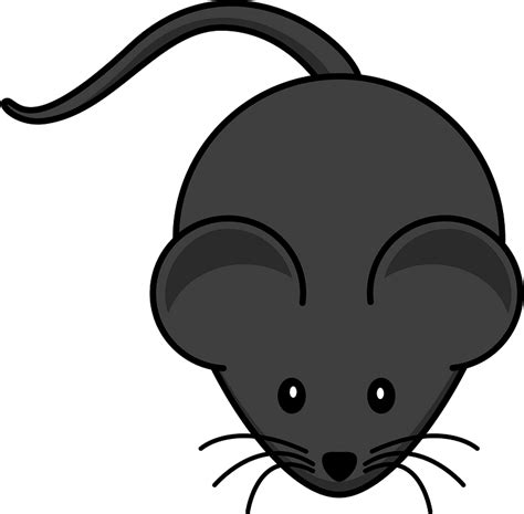 Cartoon Grey Mouse Clipart Free Download Transparent Png Creazilla