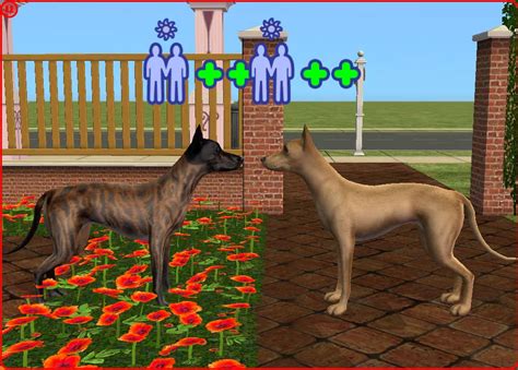 Mod The Sims Pharaoh Hounds