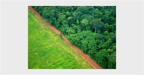 Green Climate Fund And Redd Funding The Paradigm Shift Or Another