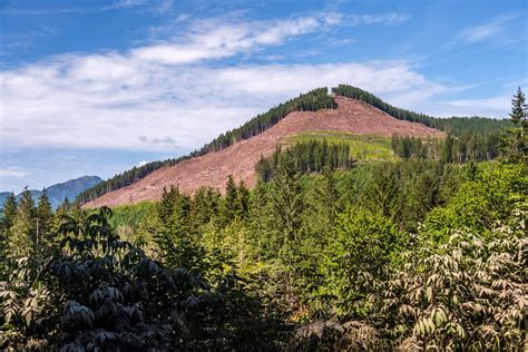 Hillside Logging Nitinat Main Western Canada Section 6 Flickr