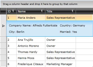 Wpf Datagrid Styling Row Details Telerik Ui For Wpf