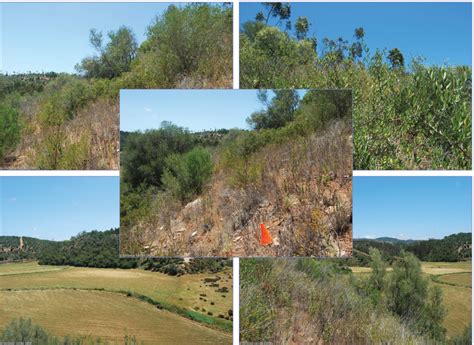 Study land surveying and you'll use gps equipment, cad and fluid engineering labs to plot and analyse land, structures and water. LUCAS: The Land Use-Land Cover Area Frame Survey ...