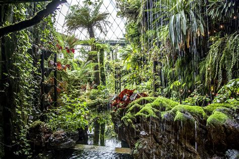 Waterfall Gardens Singapore Review Fasci Garden