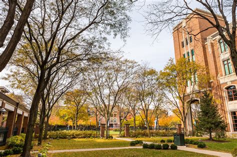 Campus And Community Sections Depaul University Newsline Depaul