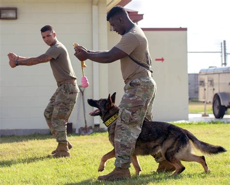 Military Working Dogs Jbsas Four Legged Defenders Joint Base San