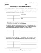 What are possible genotypes of their children's hair colors? 29 Mendelian Genetics Worksheet Answers - Notutahituq ...