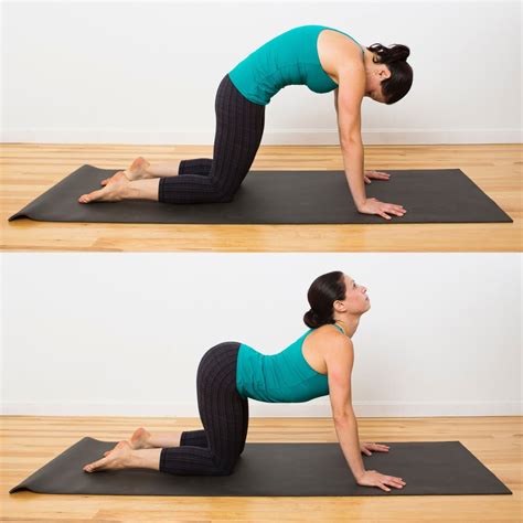 Cat Cow Pose Yoga Sequence For Stress Popsugar Fitness Photo 6