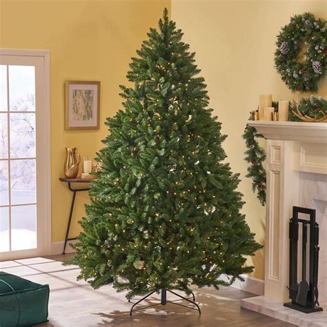 If you ever struggle to determine what kind of spruce you are looking at, check the cones! Great Deal Furniture 7.5Foot Norway Spruce PreLit LED or ...