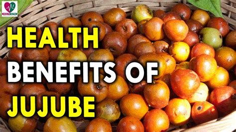 Health Benefits Of Jujube Summer Fruits And Its Health Benefits Youtube