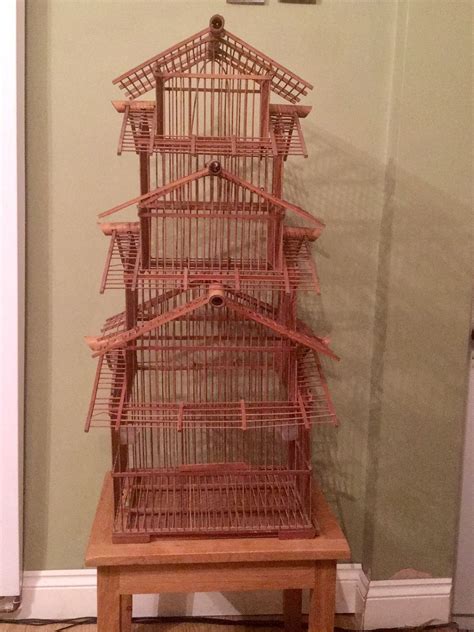 Wooden Finch Bird Cages A Guide For 2023 Bird Lover