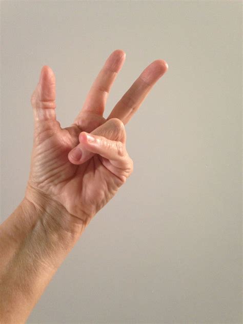 Pin By Allison Echanove On Hands Peace Gesture Peace