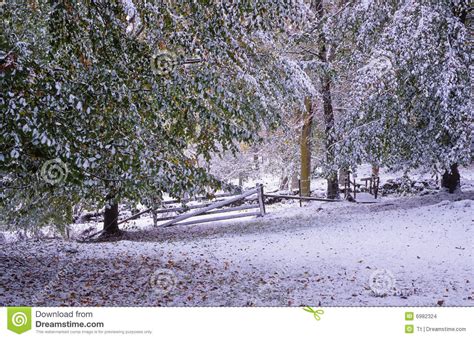 First Snowfall At Fall Stock Images Image 6982324