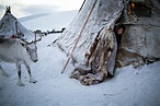 nenets people | JuzaPhoto