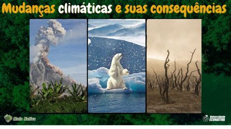 Quais As Consequências Das Mudanças Climáticas