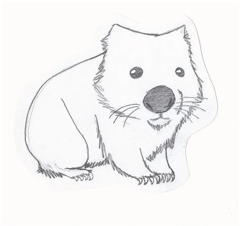 Wombat Drawing Related Images To Wombat Drawing Time Drawing A Wombat