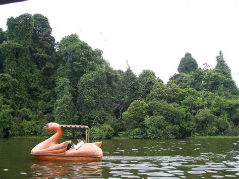 Di sebelah utara, situ ini berbatasan dengan wilayah talaga kabupaten. morin cirebon: situ lengkong panjalu