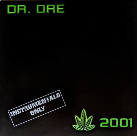 Dr Dre 2001 Instrumentals Vinyl Records Lp Cd On Cdandlp