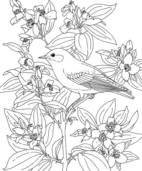 Birds And Flowers Coloring Pages Coloring Home