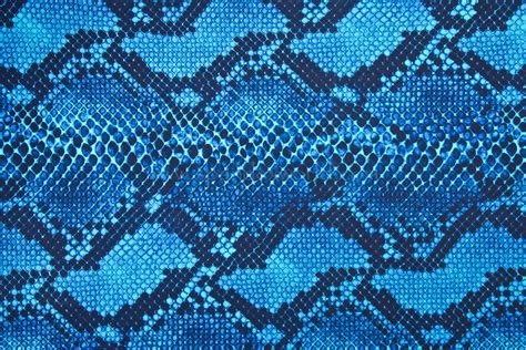 What snake is brown with a pattern? Snake Prints (Blue/Black) | Spandex World
