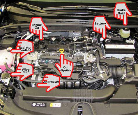 Whats Under The Hood Of Your Car