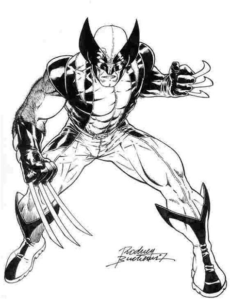 Download and print these wolverine coloring pages for free. Wolverine Cartoon Coloring Pages - Lautigamu