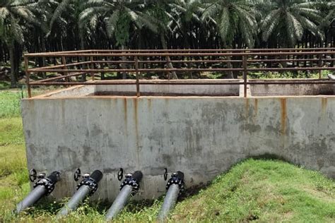 Oil palm shell (ops) is used in the gassication process, and the co produced is jointly mixed with diesel to run a diesel engine, thus saving fuel consumption drastically. IOI Syarimo Palm Oil Mill - Green Lagoon