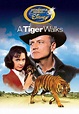Watch the tiger hunter online - caqweivy