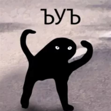 Create Meme Figure Hey Of Shuka Cat Meme Joy Original Pictures