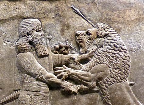 Assyrian Lion Hunt Lion Panels 645 635 Bc At The British Museum