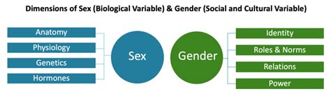 Sex And Gender Office Of Research On Womens Health