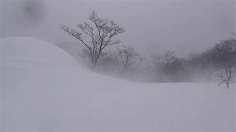 猛吹雪の貝月山 tjさんの貝月山の活動日記 yamap ヤマップ