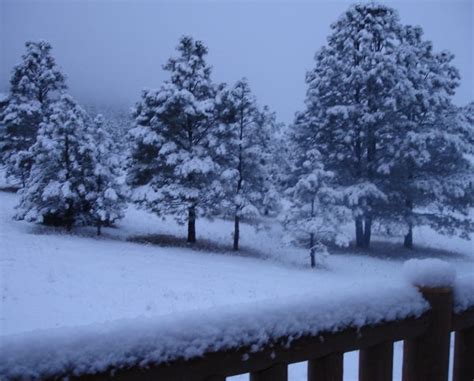 Lifescapes Snow Scene New Mexico