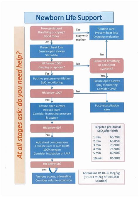 Neonatal Resuscitation Medication Chart