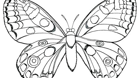 The very hungry caterpillar colouring. Caterpillar And Butterfly Coloring Pages at GetColorings ...