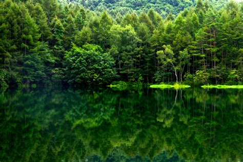 Reflection In Green Nagano Japan Photo On Sunsurfer