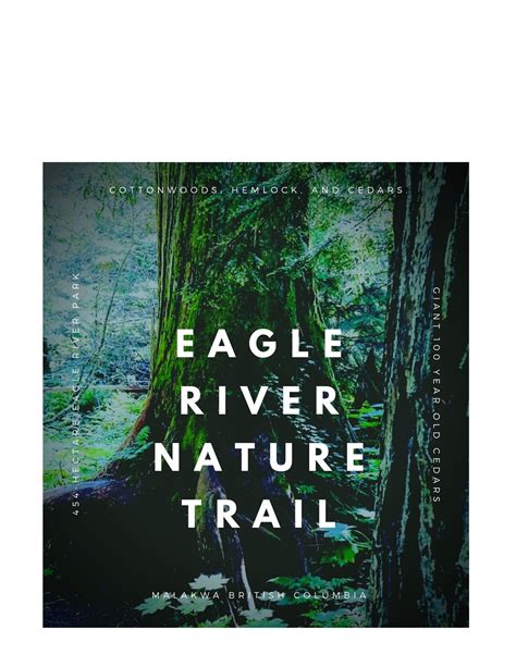 The Eagle River Nature Trail Malakwa Bc — Shuswap Adventure Girl