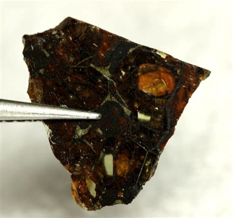 551 Cts Rare Pallasite Meteorite From Indonseia Met1