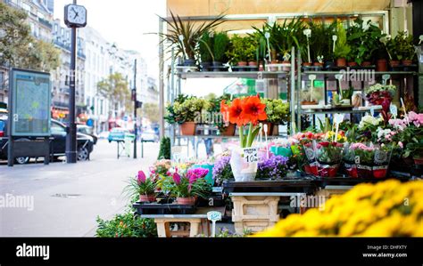 Paris Flower Shop Hi Res Stock Photography And Images Alamy