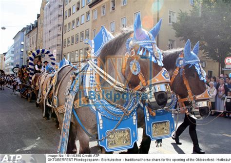 We facilitate the search for banking services, financial products and investment opportunities. Details zu #0710110390 - OKTOBERFEST Pferdegespann ...