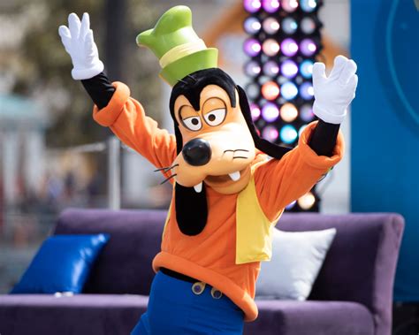 What Animal Is Disneys Goofy From Mickey Mouse The Us Sun