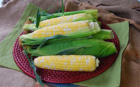 Temptress Sweet Corn Cruiser Treated Seedway
